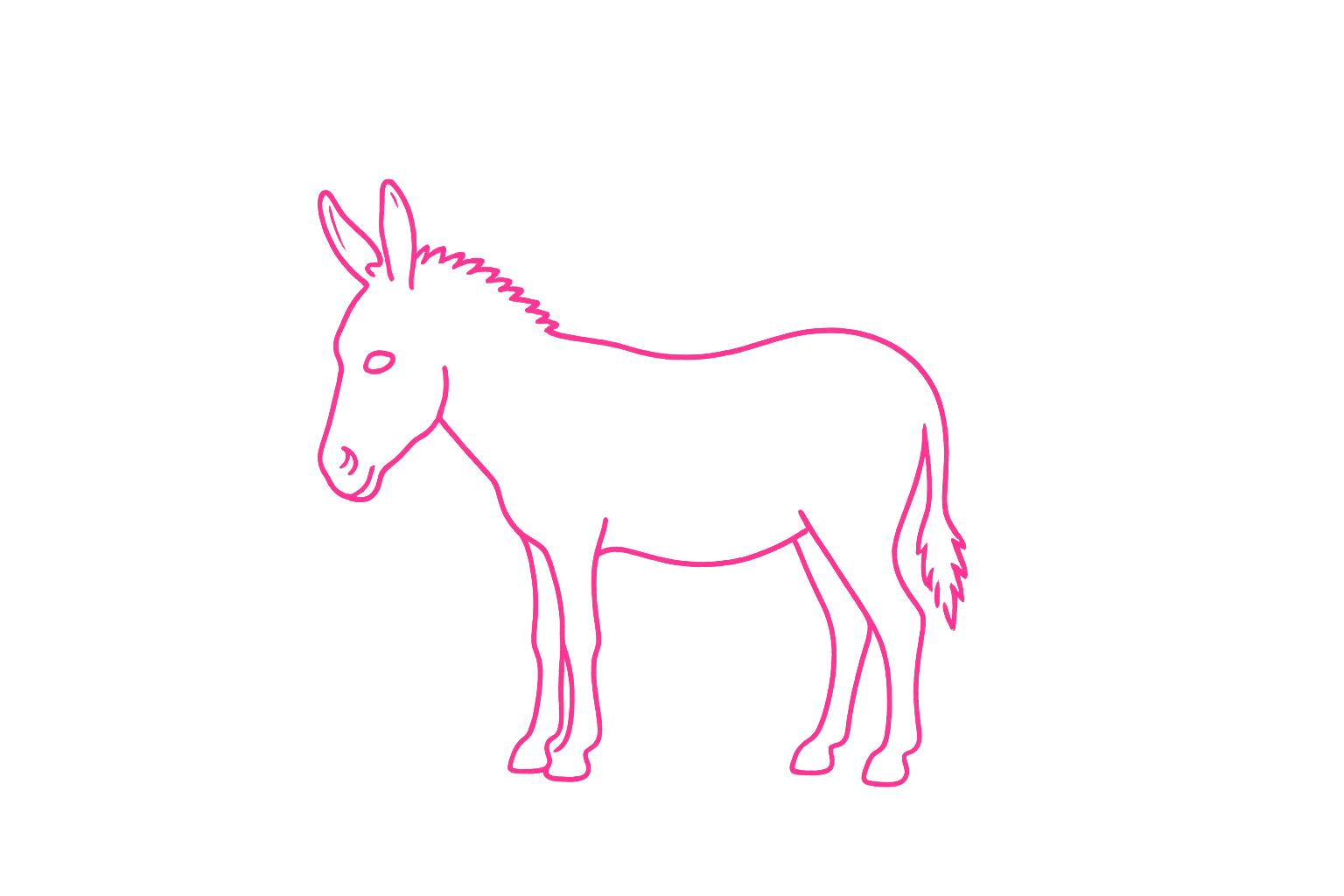 Ane Rose Ltd